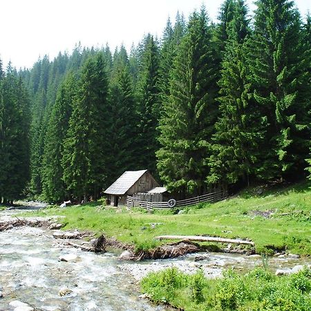 Dream Apartment Петрошани Экстерьер фото